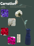 Crochet Carnation