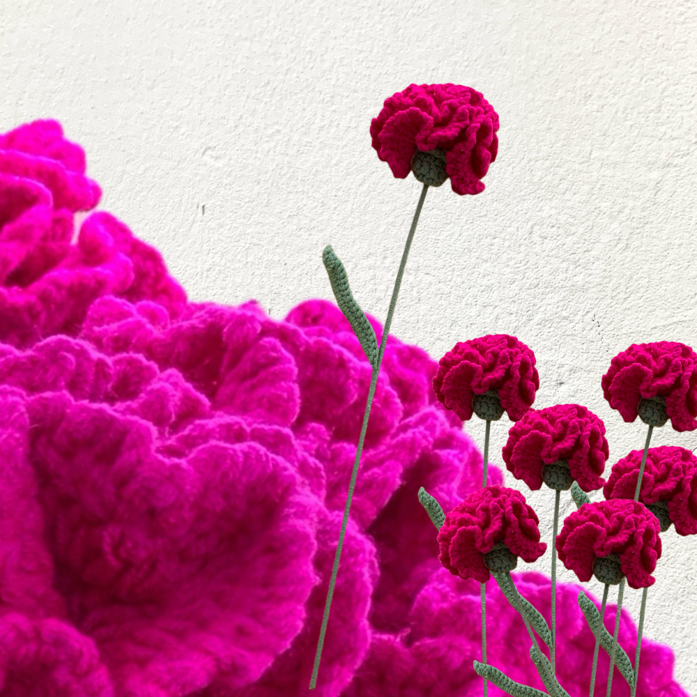 Crochet Carnation