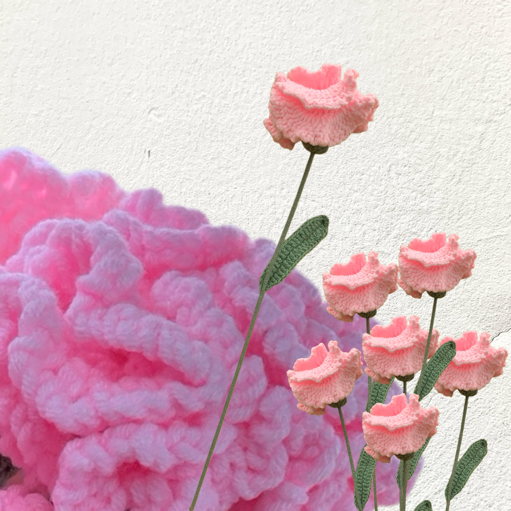 Crochet Carnation