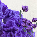 Crochet Carnation