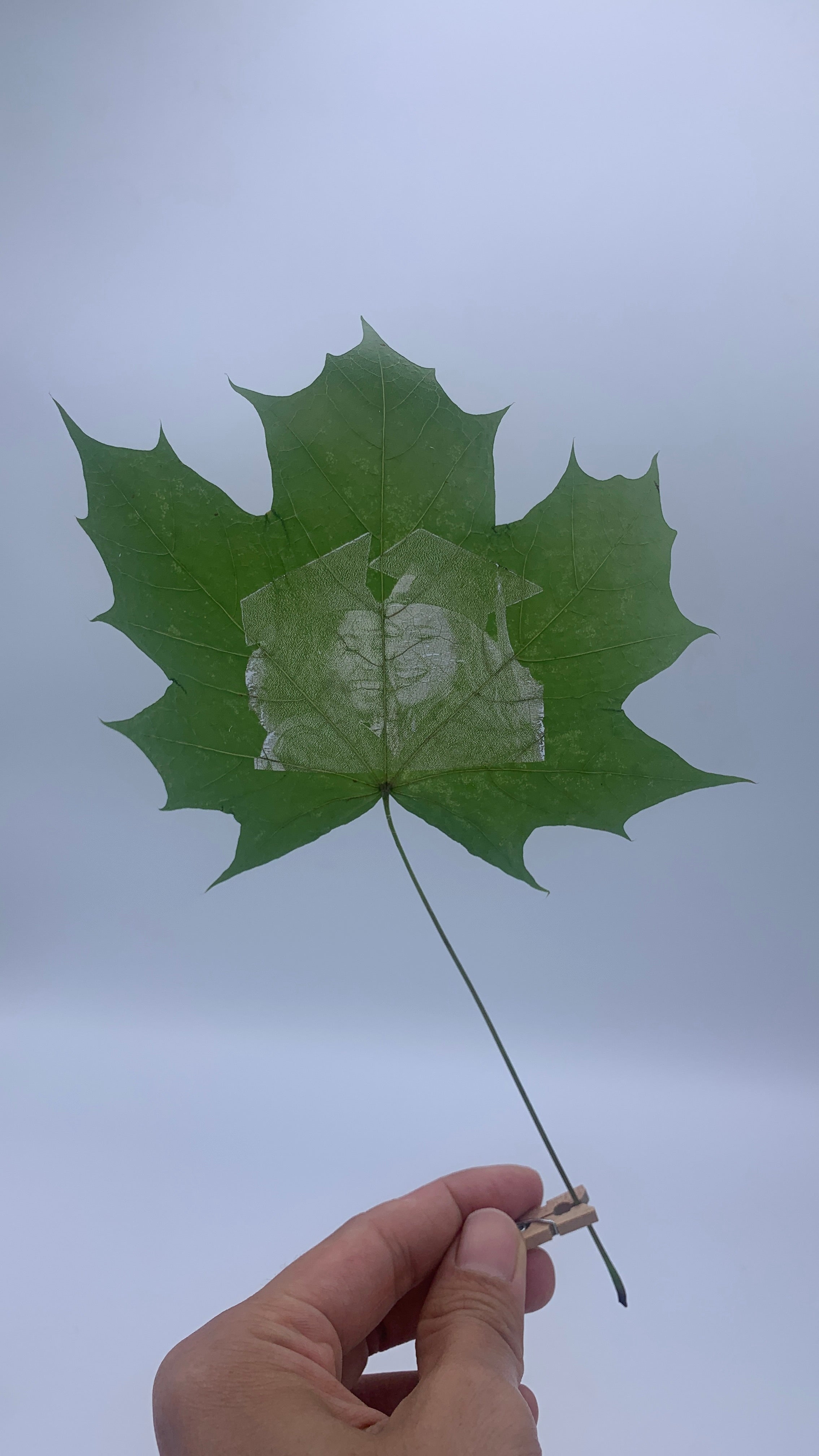 Maple Leaf Portrait