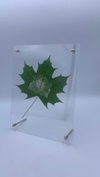 Maple Leaf Portrait