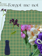Crochet Forget-me-not
