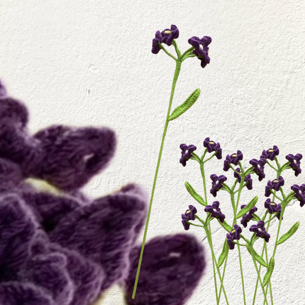 Crochet Forget-me-not