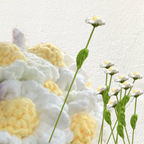 Crochet Daisy