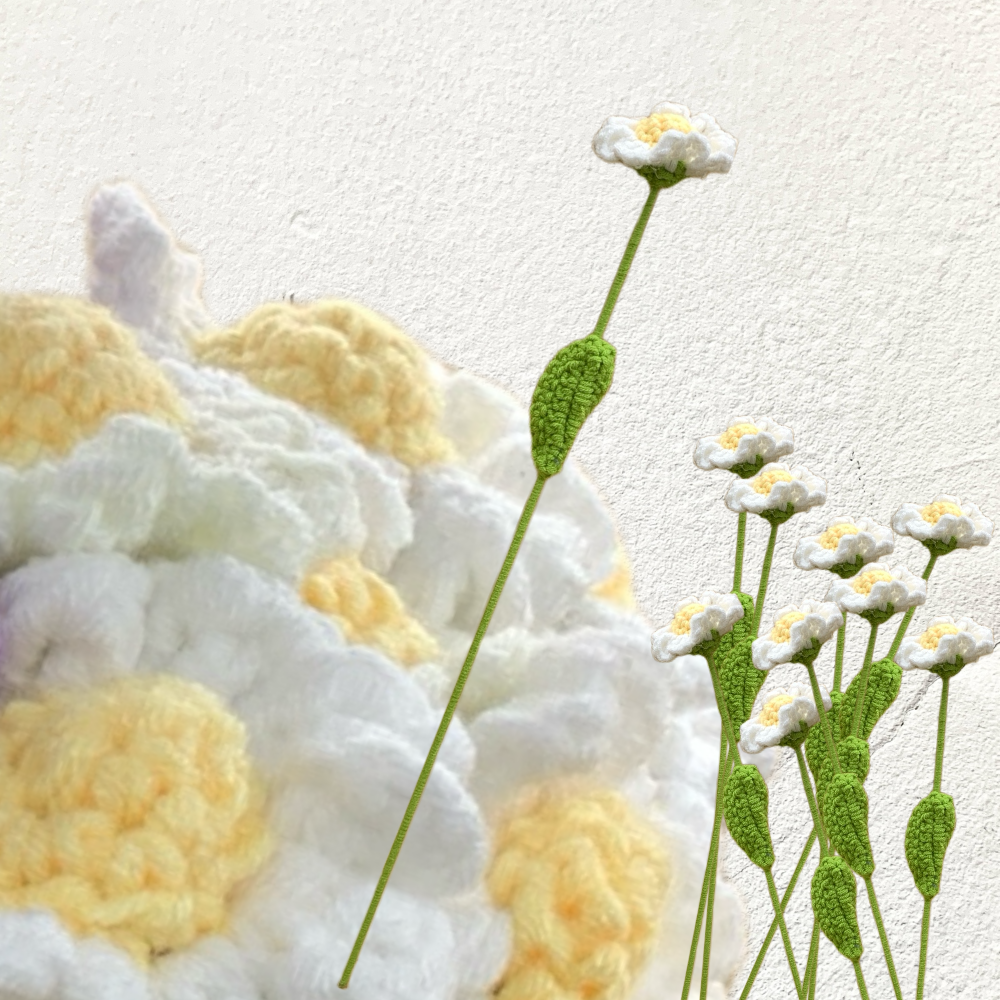 Crochet Daisy