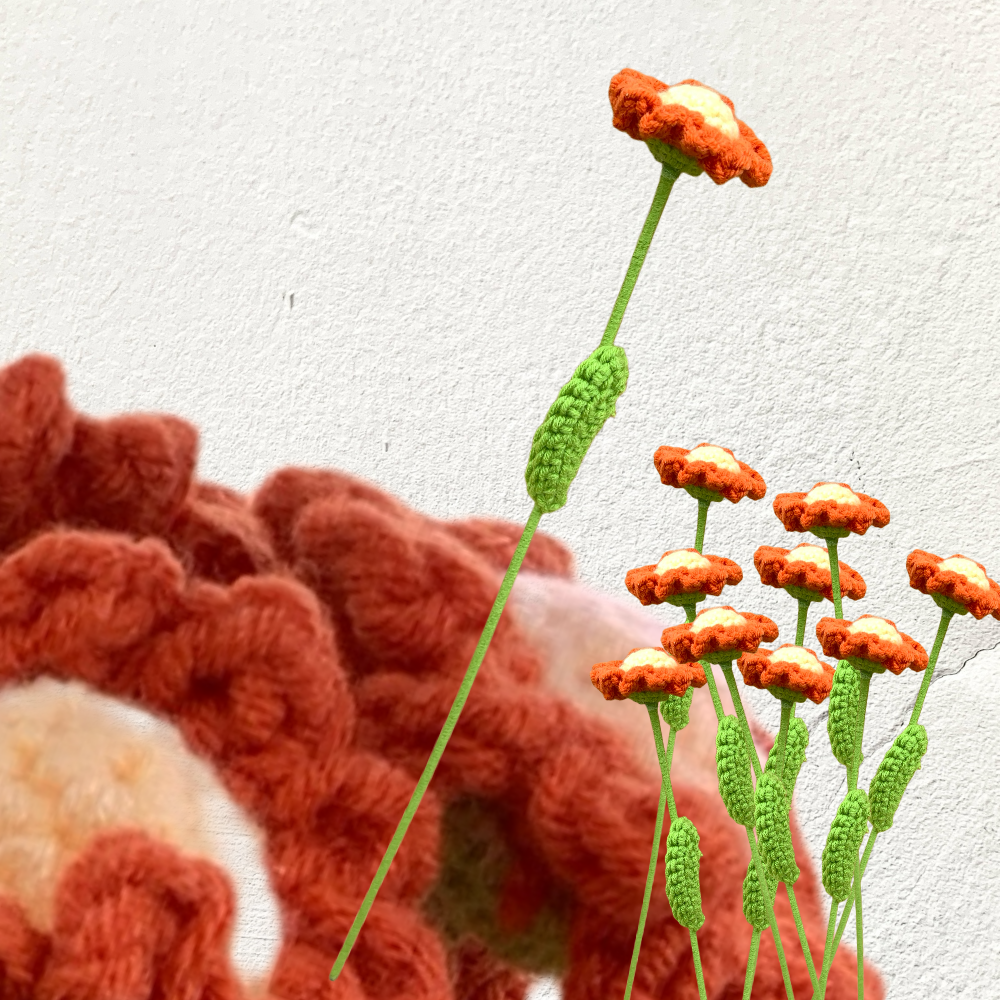 Crochet Daisy