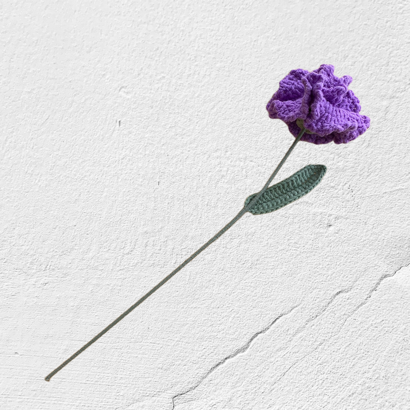 Crochet Carnation