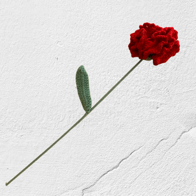 Crochet Carnation