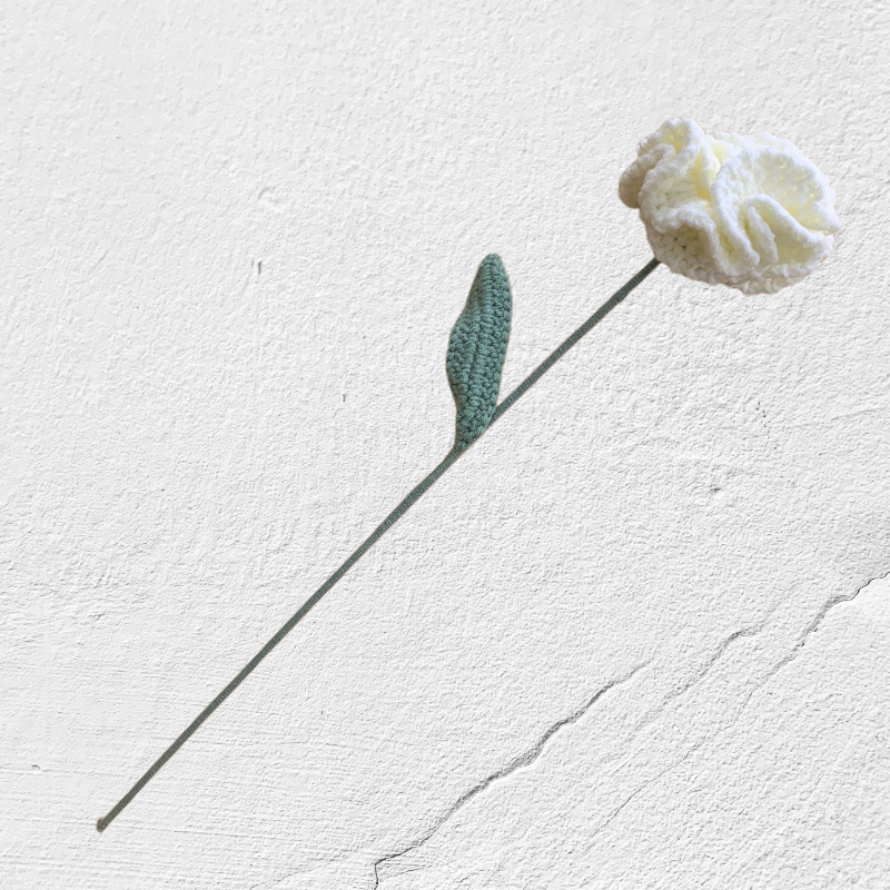 Crochet Carnation