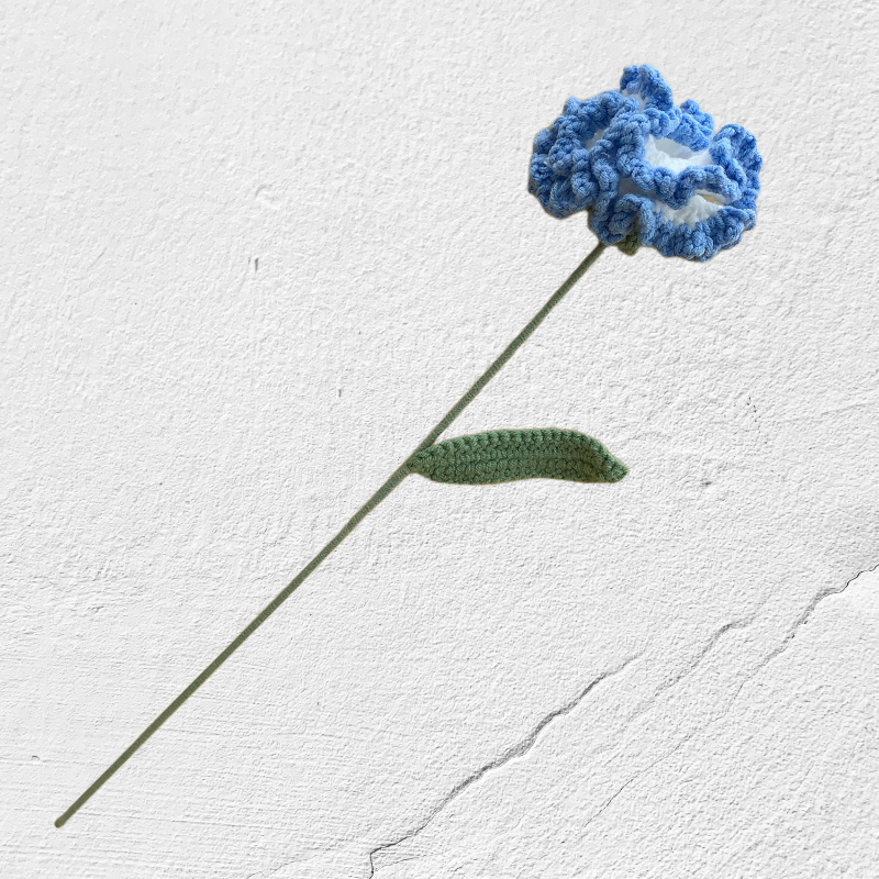 Crochet Carnation