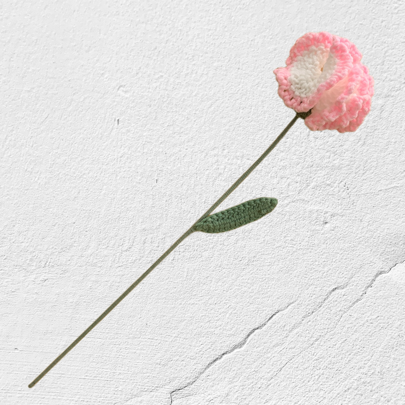 Crochet Carnation