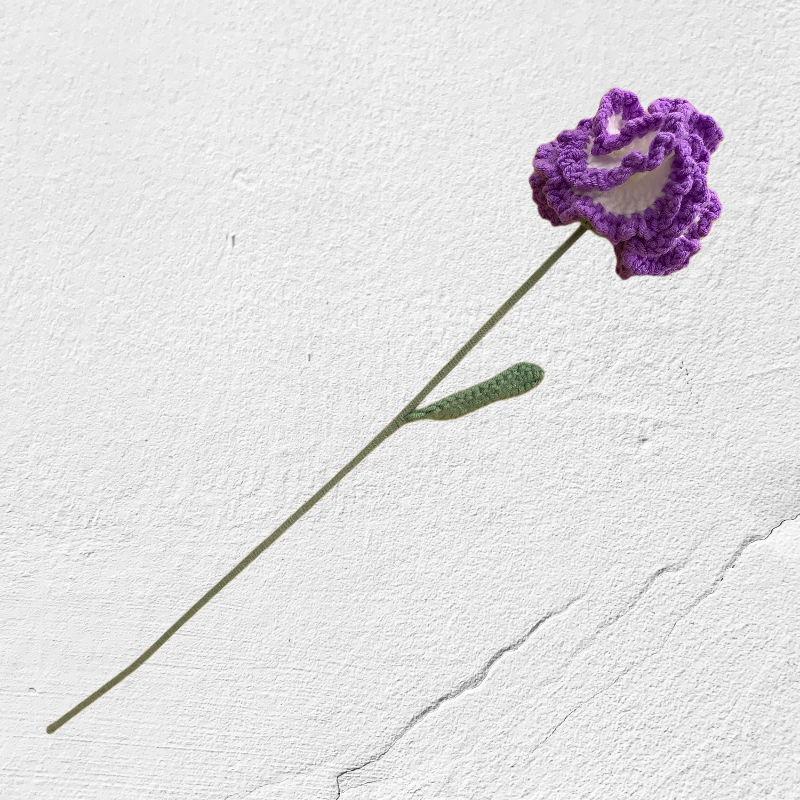 Crochet Carnation