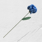 Crochet Carnation
