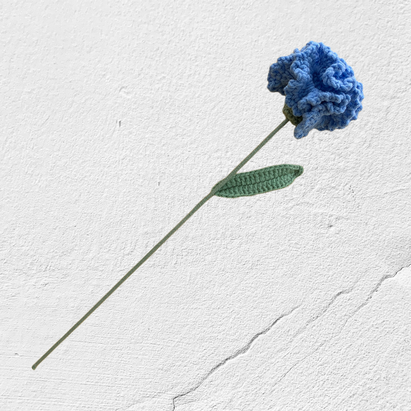 Crochet Carnation