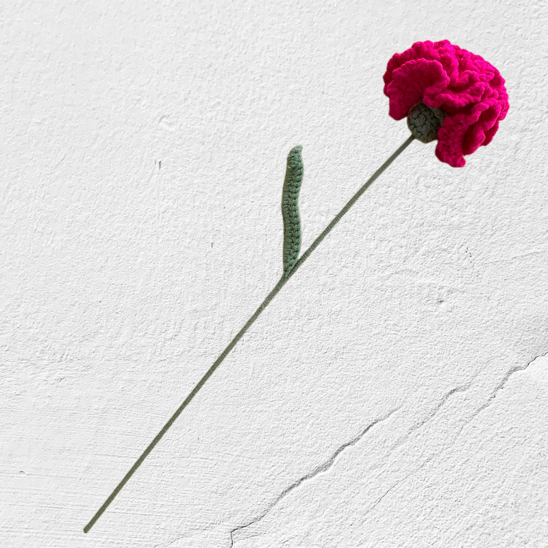Crochet Carnation