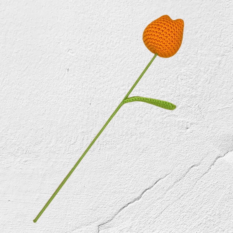 Crochet Tulip