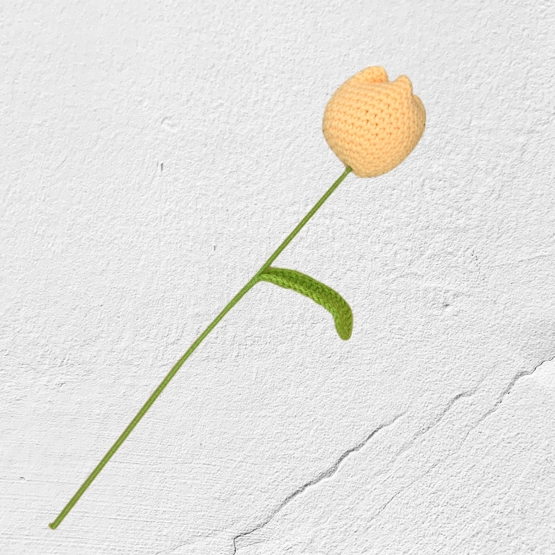 Crochet Tulip